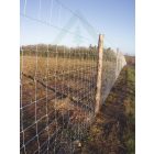 Vadháló 125 cm magas