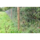 Vadháló Magasság: 1600 mm 